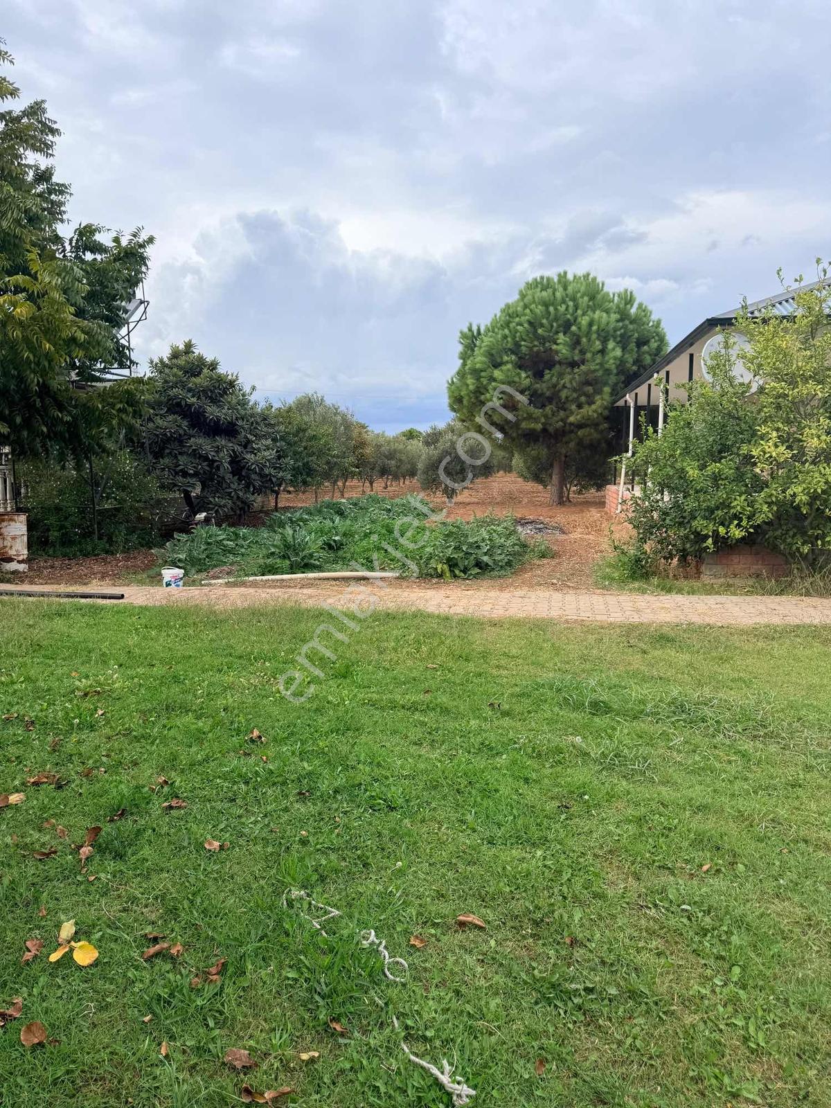 Urla İçmelerde Doğayla İç İçe, Artezyenli & 2750m2 Bahçeli Villa — fotoğraf 6