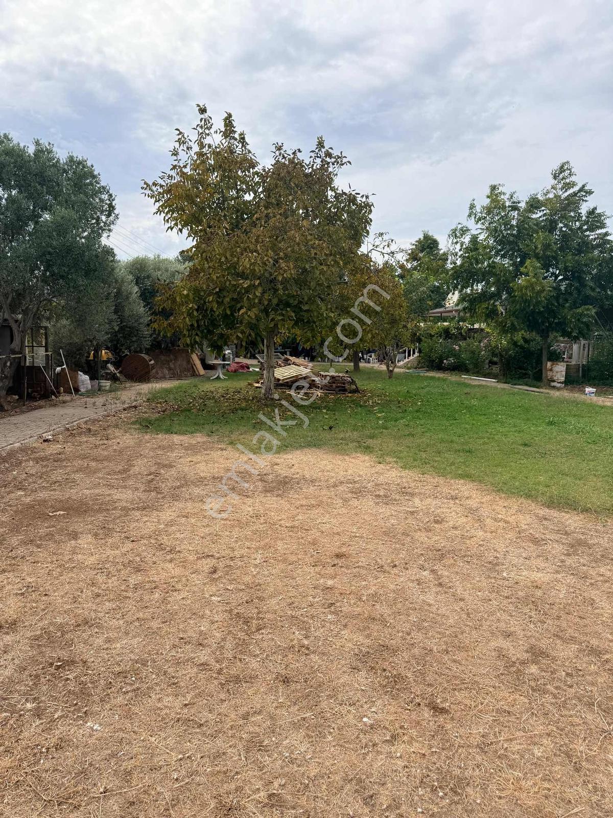 Urla İçmelerde Doğayla İç İçe, Artezyenli & 2750m2 Bahçeli Villa — fotoğraf 8