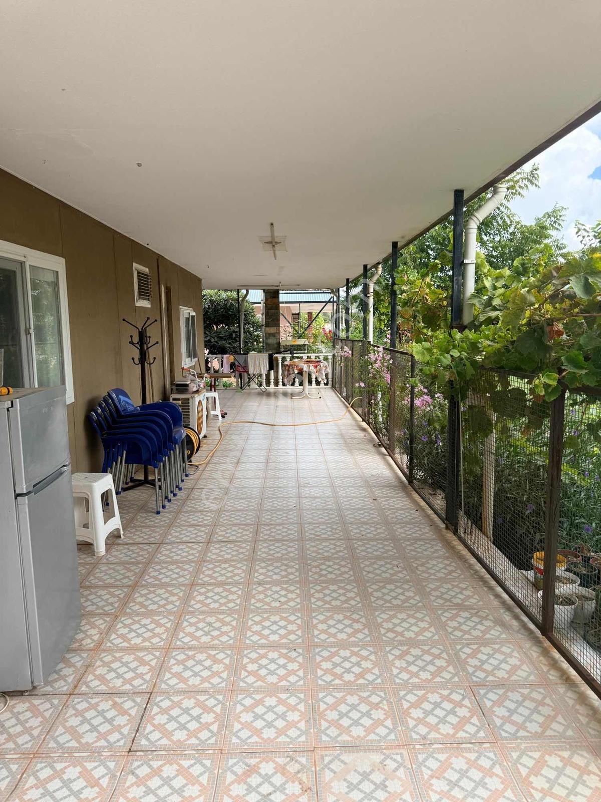 Urla İçmelerde Doğayla İç İçe, Artezyenli & 2750m2 Bahçeli Villa — fotoğraf 24
