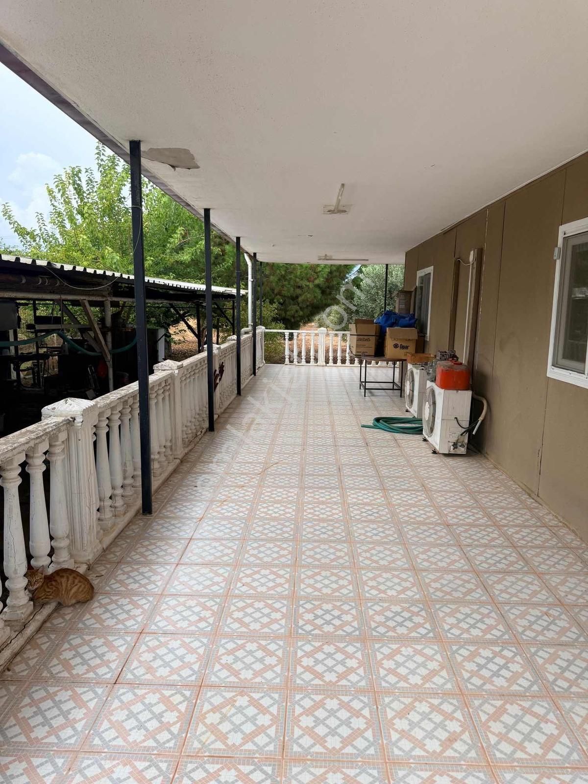 Urla İçmelerde Doğayla İç İçe, Artezyenli & 2750m2 Bahçeli Villa — fotoğraf 31