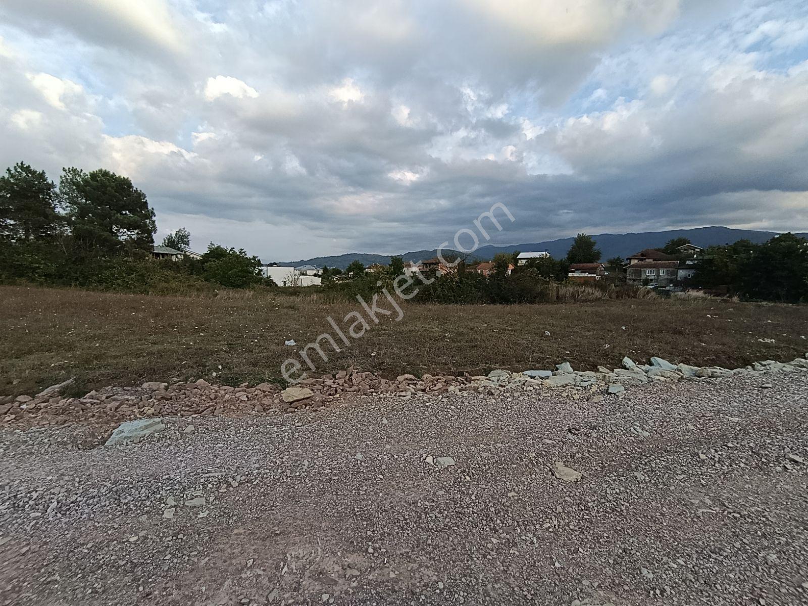 Sakarya Arifiye Neviye Mah. Satılık 602 M² Konut Arsası Fırsat — fotoğraf 13