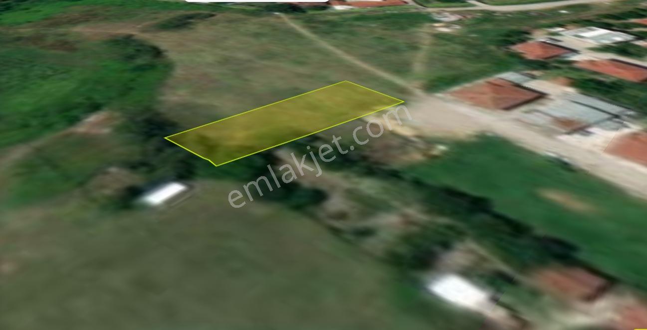 Sakarya Arifiye Neviye Mah. Satılık 602 M² Konut Arsası Fırsat — fotoğraf 16
