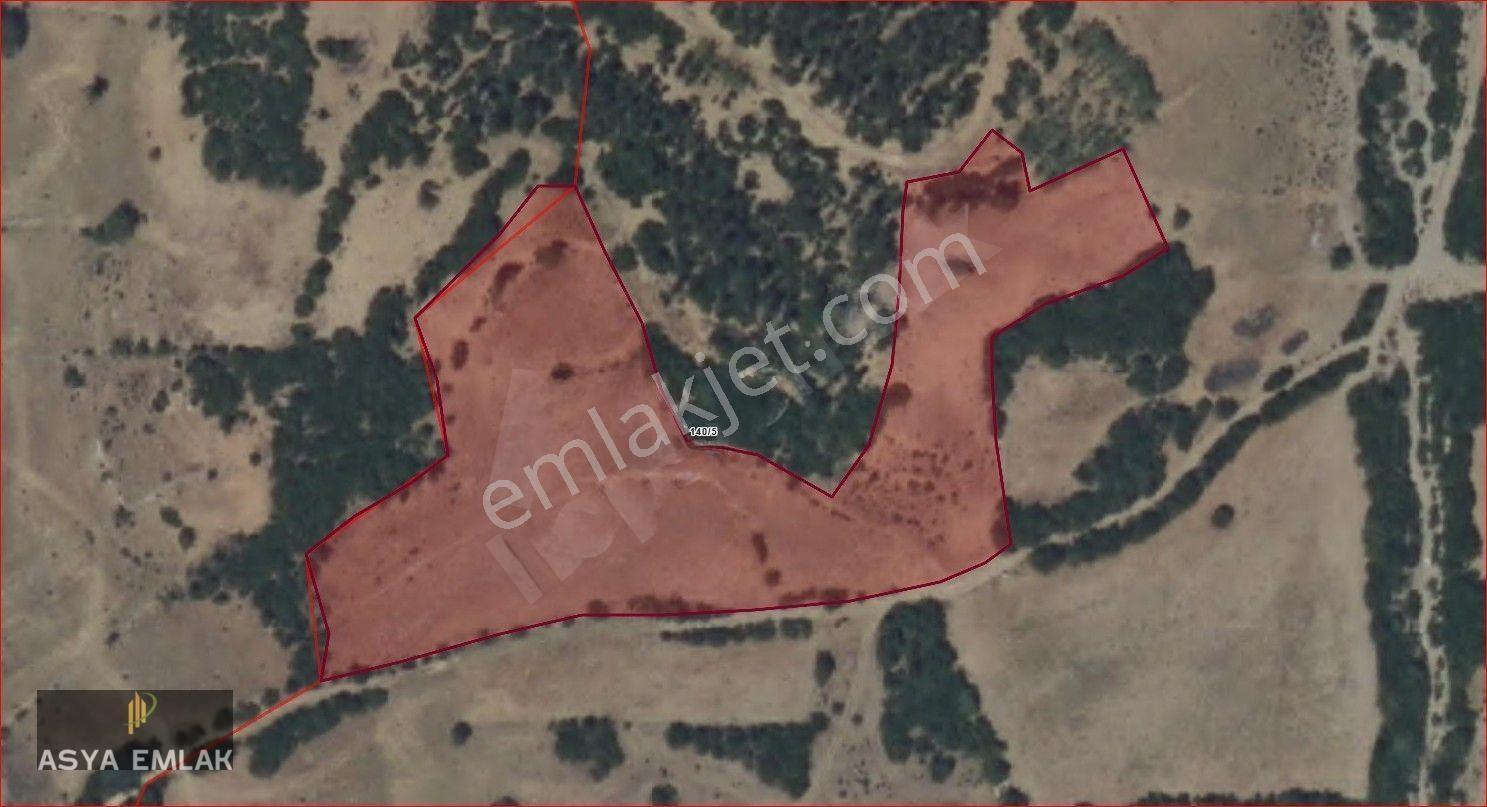 Ağlasun Yazır Köyünde Satılık Fırsat Tarla