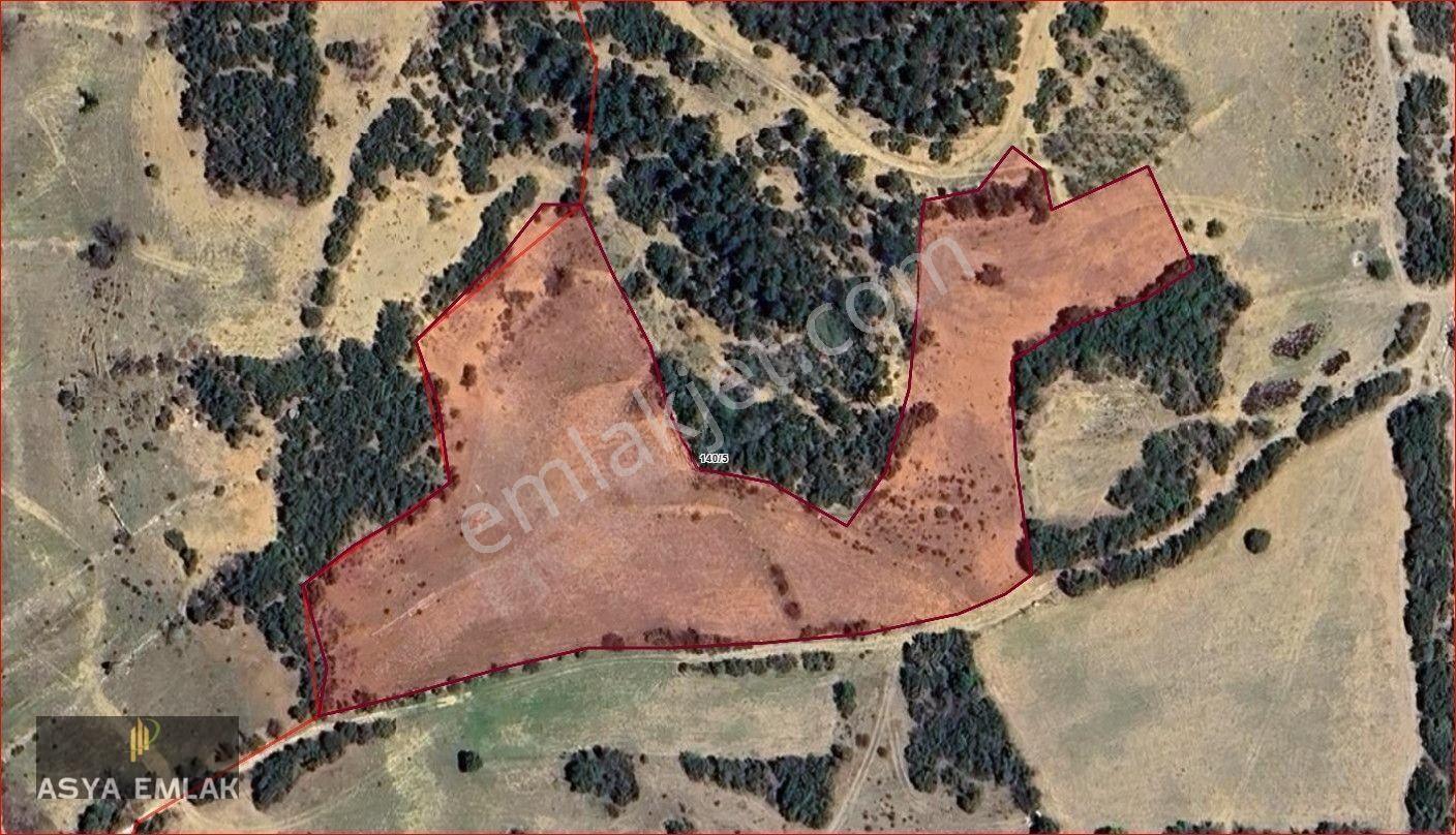 Ağlasun Yazır Köyünde Satılık Fırsat Tarla — fotoğraf 2