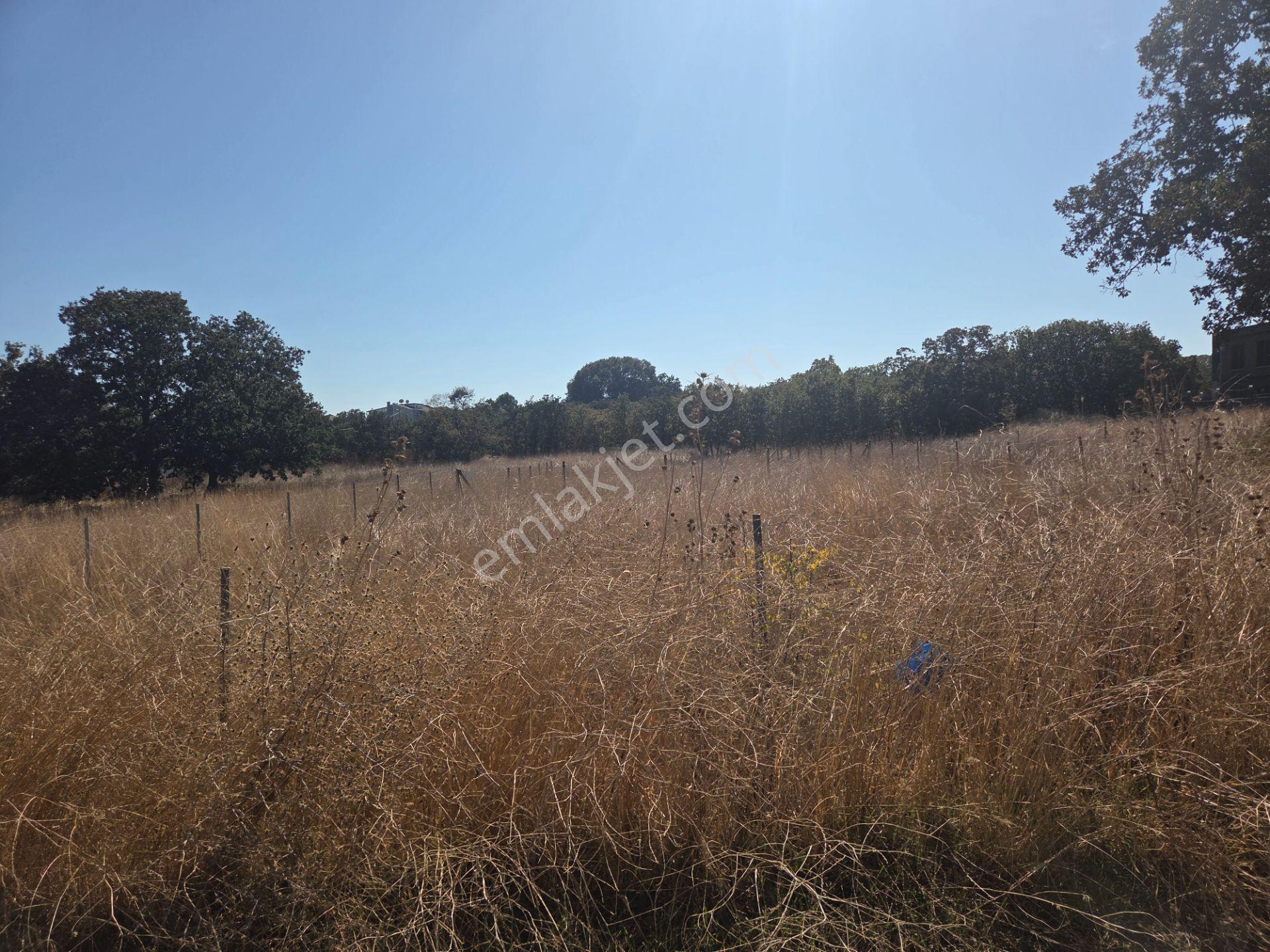 Çorlu Yenice Mahallesi Satılık 312 M² İmarlı Arsa — fotoğraf 7
