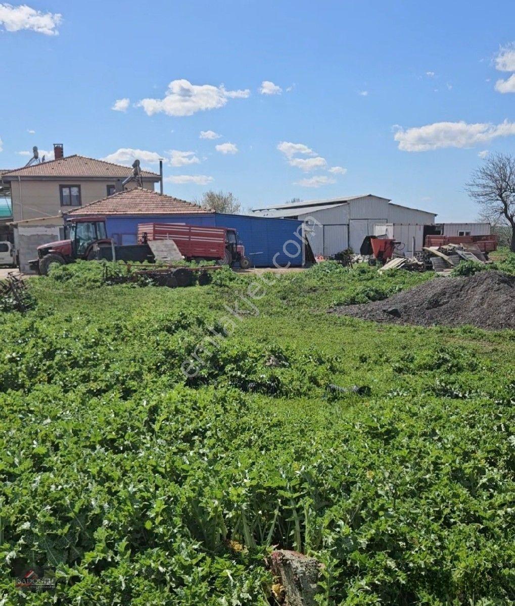 Satılık Arsa Lüleburgaz Davutlu'Da 752 M2