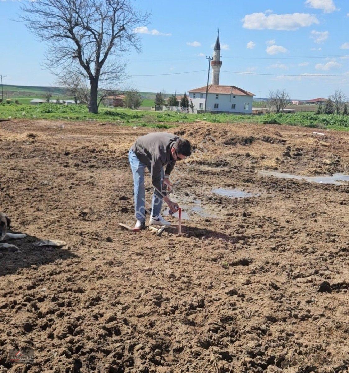 Satılık Arsa Lüleburgaz Davutlu'da 752 M2 — fotoğraf 4
