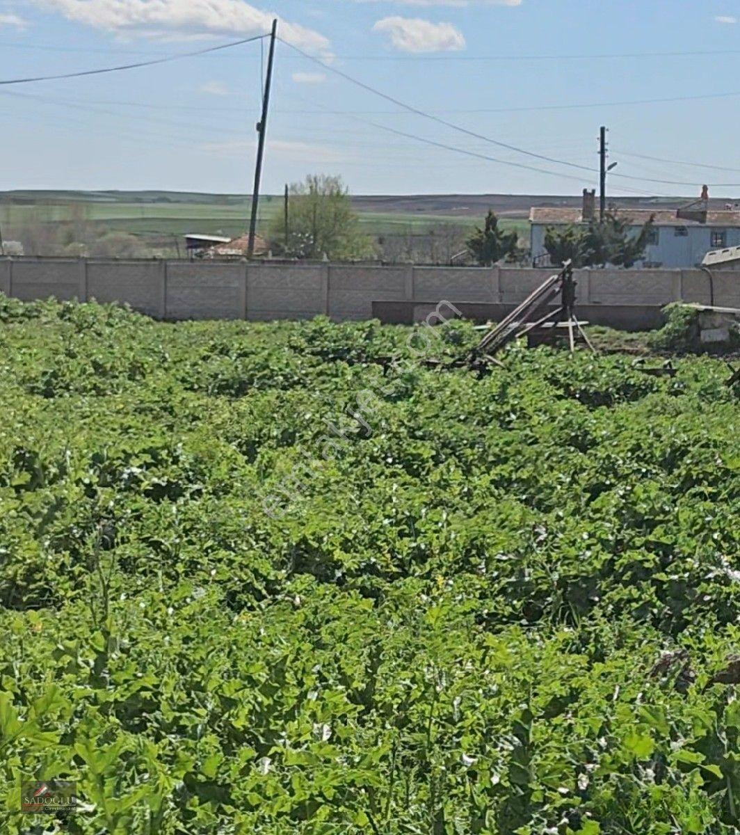 Satılık Arsa Lüleburgaz Davutlu'da 752 M2 — fotoğraf 5