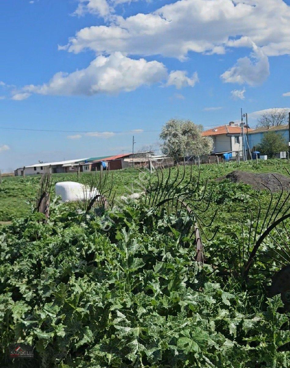 Satılık Arsa Lüleburgaz Davutlu'da 752 M2 — fotoğraf 8