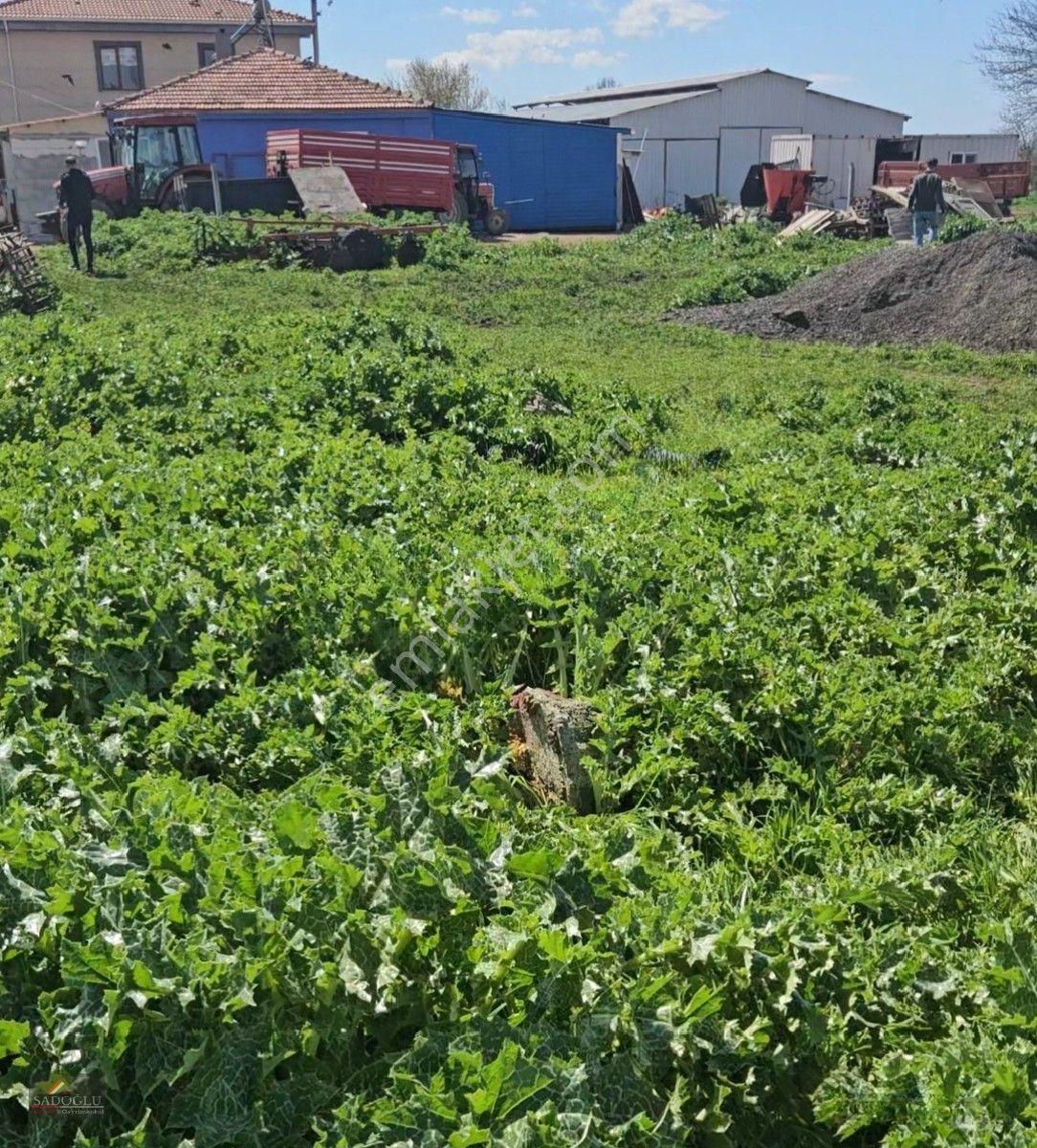 Satılık Arsa Lüleburgaz Davutlu'da 752 M2 — fotoğraf 17