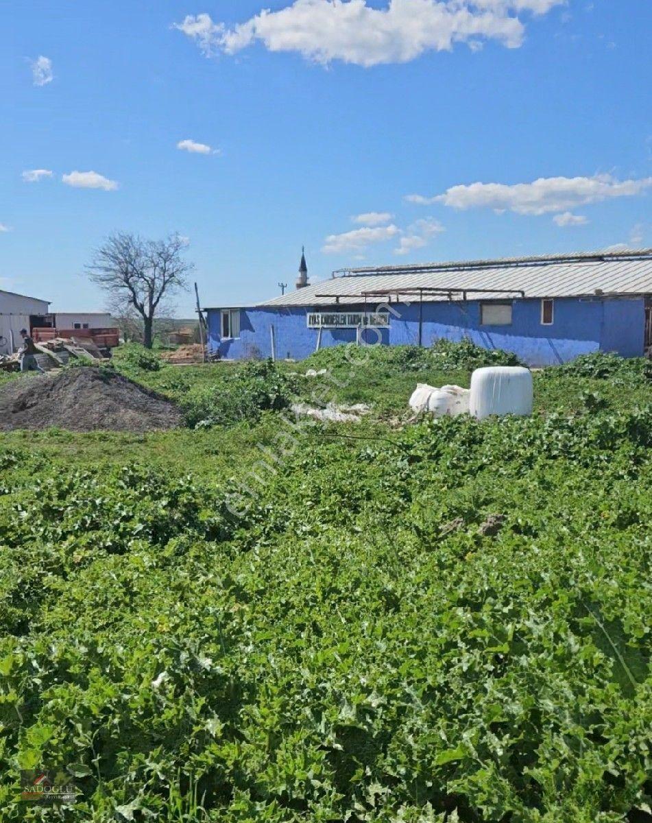 Satılık Arsa Lüleburgaz Davutlu'da 752 M2 — fotoğraf 18