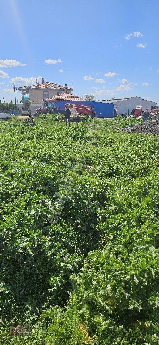 Satılık Arsa Lüleburgaz Davutlu'da 752 M2 — fotoğraf 25