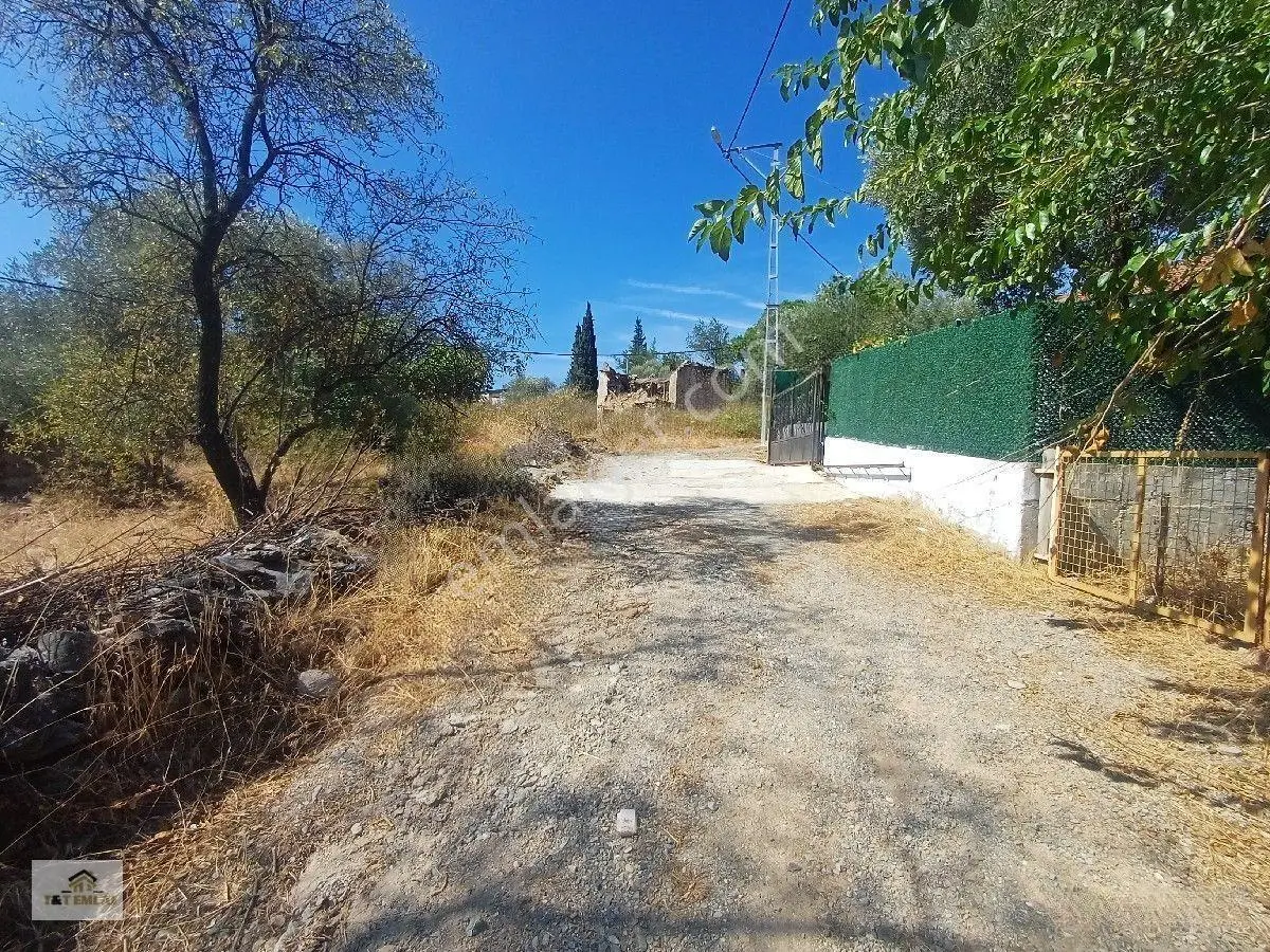 Mugla Milas Kızılagac'ta Satılık İmarli Arsa — fotoğraf 7