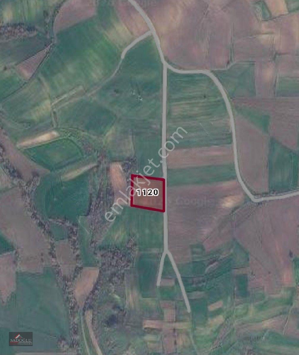 Havsa Necatiye'de 4.500 M2 Satılık — fotoğraf 3