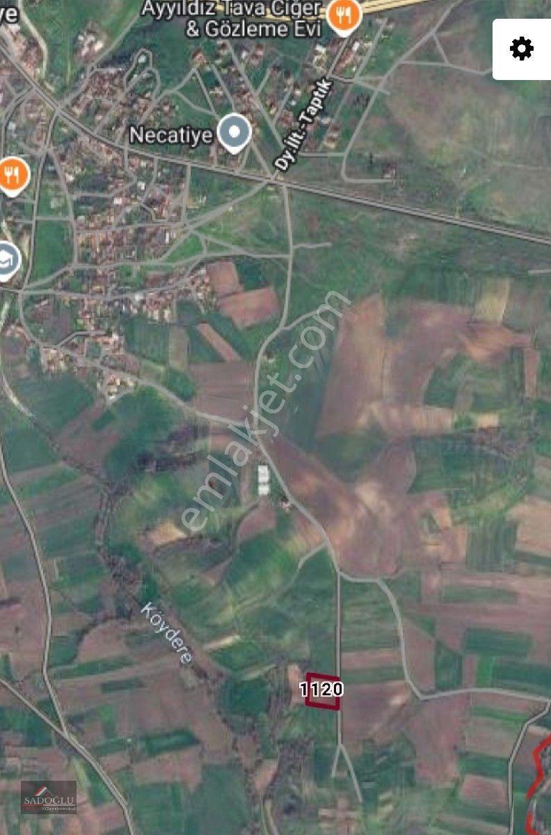 Havsa Necatiye'de 4.500 M2 Satılık — fotoğraf 6