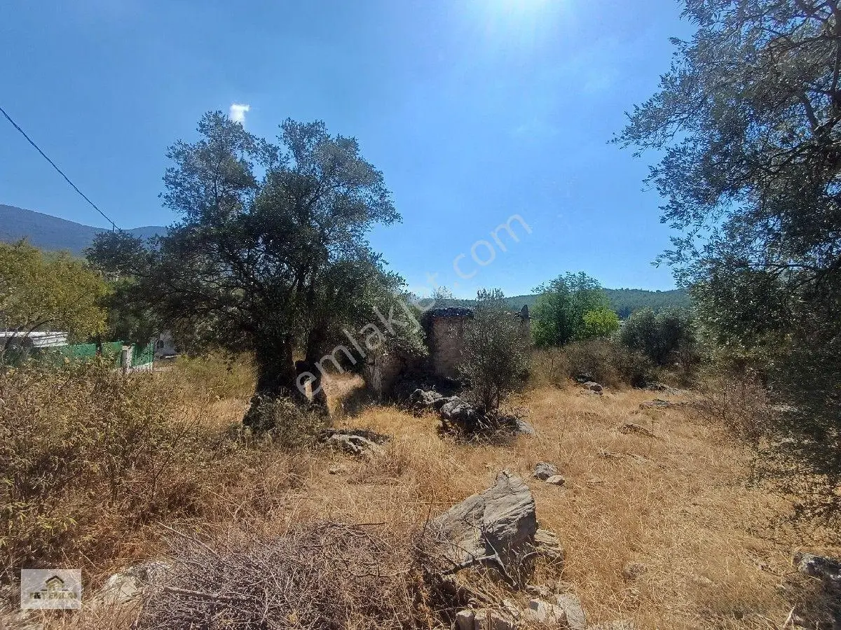 Mugla Milas Kızılagac'ta Satilik Harap Ev Ve Arsası — fotoğraf 4
