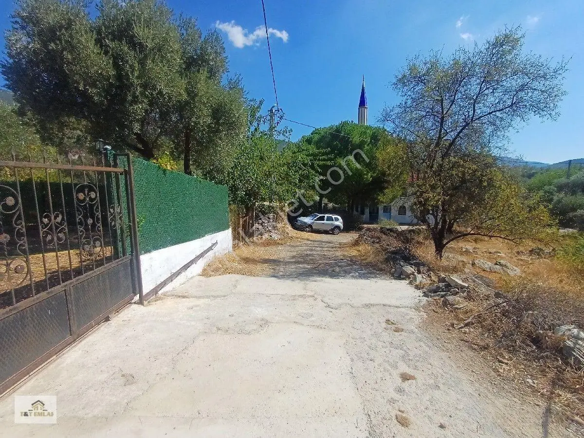 Mugla Milas Kızılagac'ta Satilik Harap Ev Ve Arsası — fotoğraf 9