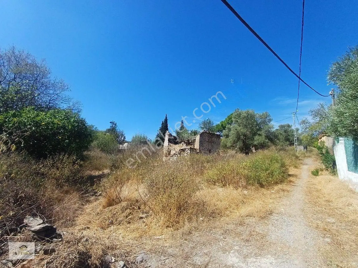 Mugla Milas Kızılagac'ta Satilik Harap Ev Ve Arsası — fotoğraf 12
