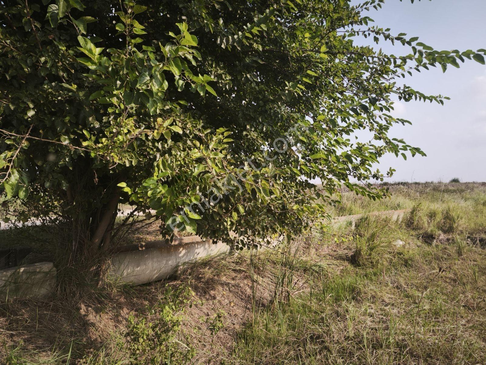 Hava Alanı Bölgesinde Acil Satılık 3500 M. Tek Tapu — fotoğraf 7