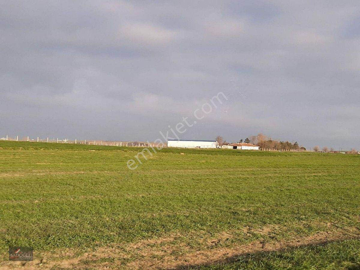 Ovacık Köy Meydanına Yakın 1.886 M2 Satılık — fotoğraf 2