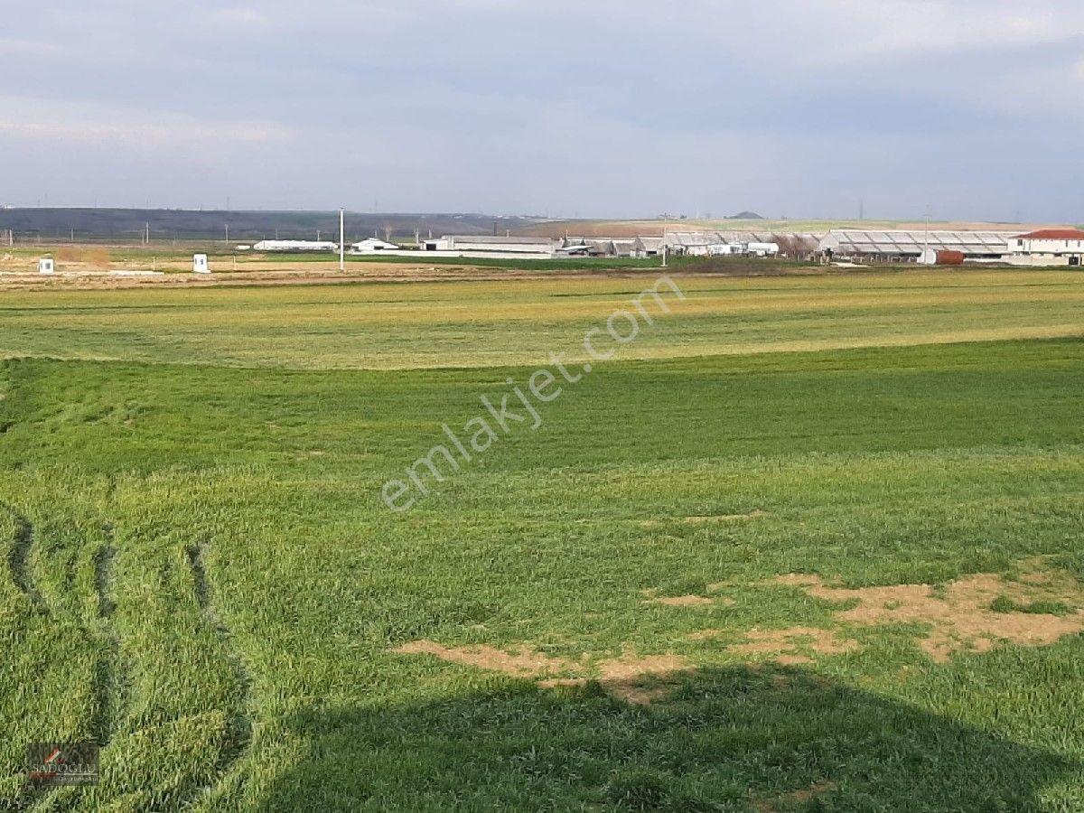 Ovacık Köy Meydanına Yakın 1.886 M2 Satılık — fotoğraf 3