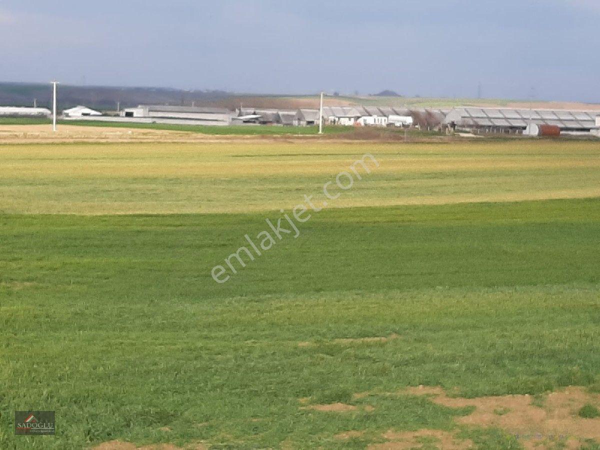 Ovacık Köy Meydanına Yakın 1.886 M2 Satılık — fotoğraf 6