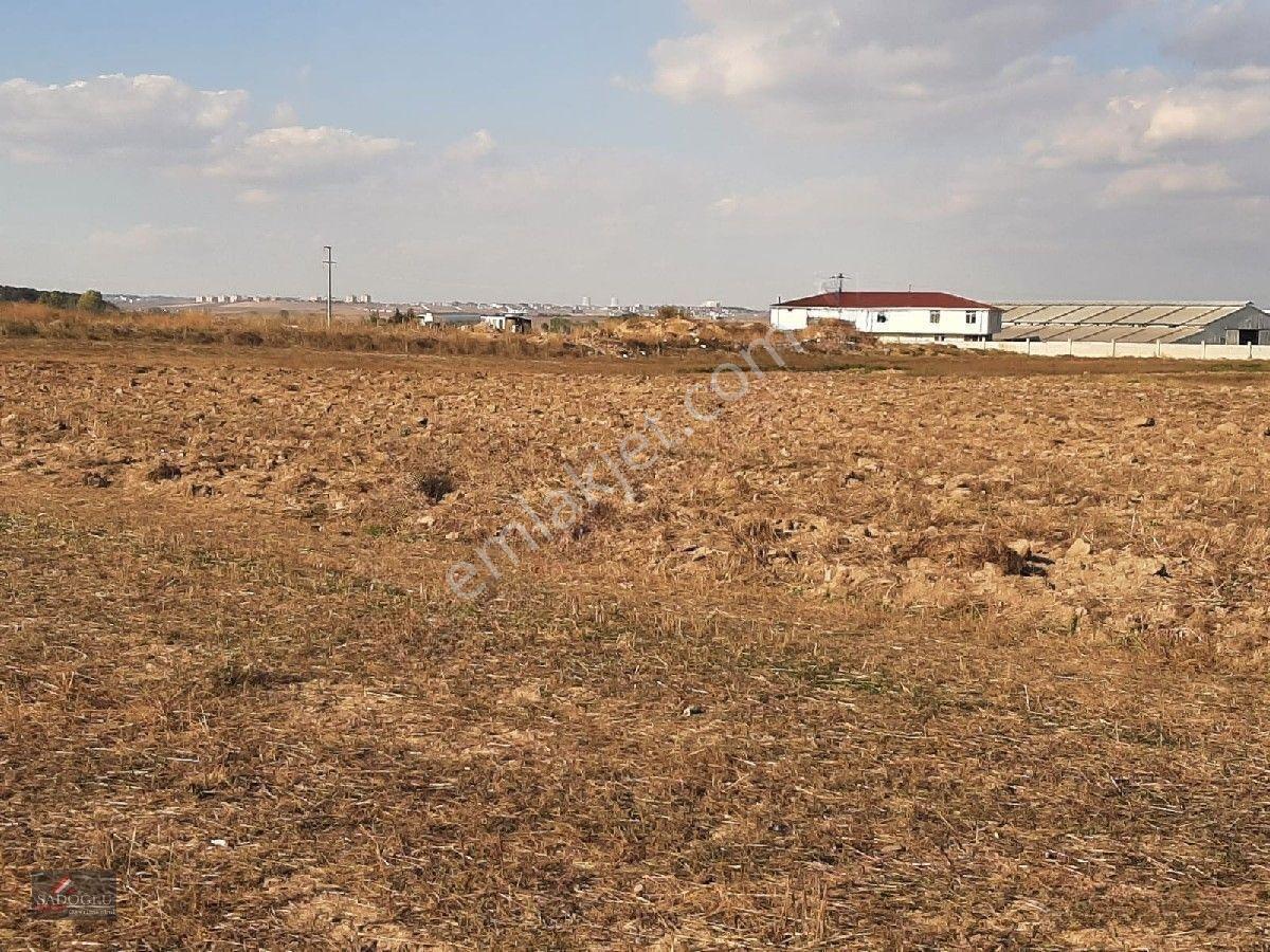 Ovacık Köy Meydanına Yakın 1.886 M2 Satılık — fotoğraf 8