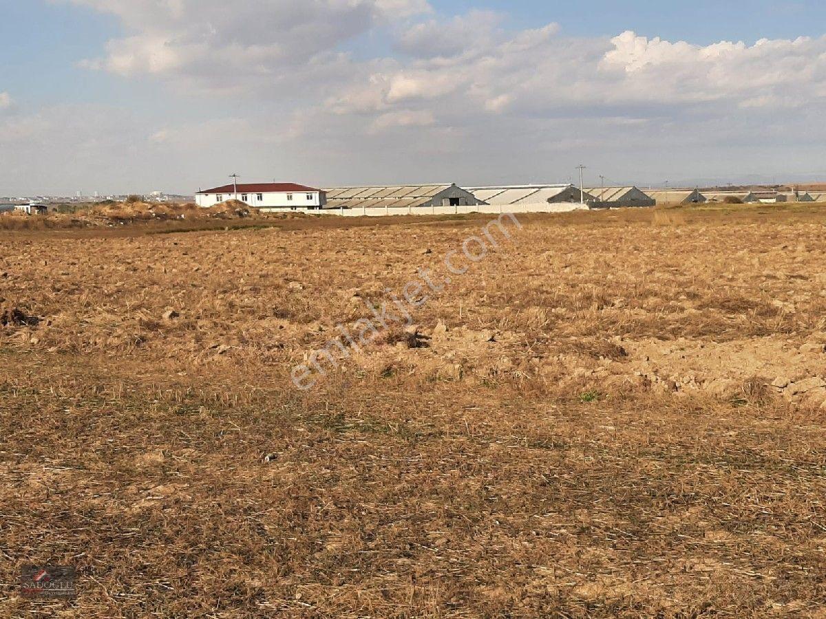 Ovacık Köy Meydanına Yakın 1.886 M2 Satılık — fotoğraf 9