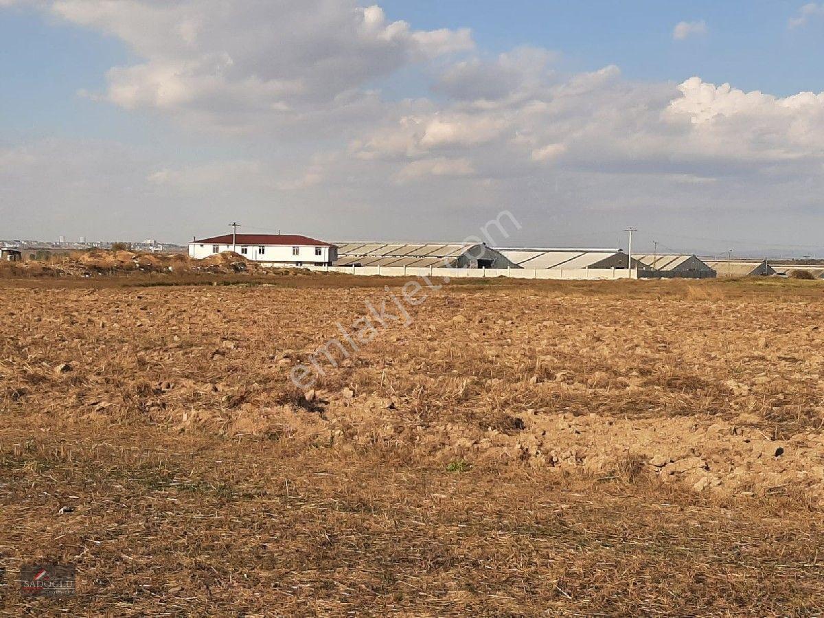 Ovacık Köy Meydanına Yakın 1.886 M2 Satılık — fotoğraf 10