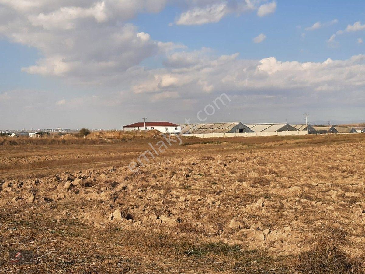 Ovacık Köy Meydanına Yakın 1.886 M2 Satılık — fotoğraf 12