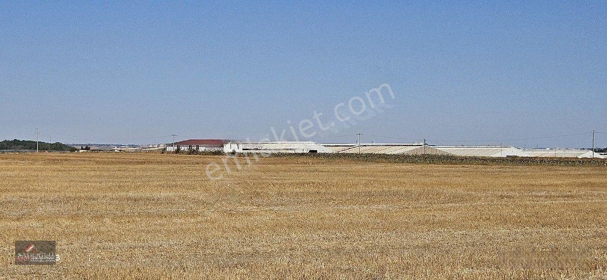 Ovacık Köy Meydanına Yakın 1.886 M2 Satılık — fotoğraf 15
