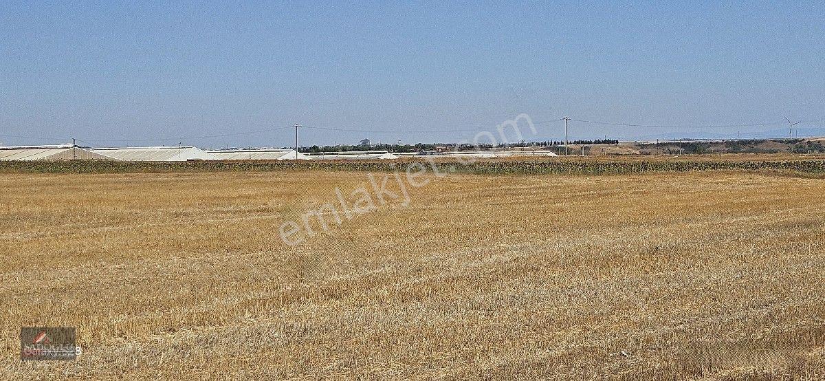 Ovacık Köy Meydanına Yakın 1.886 M2 Satılık — fotoğraf 16