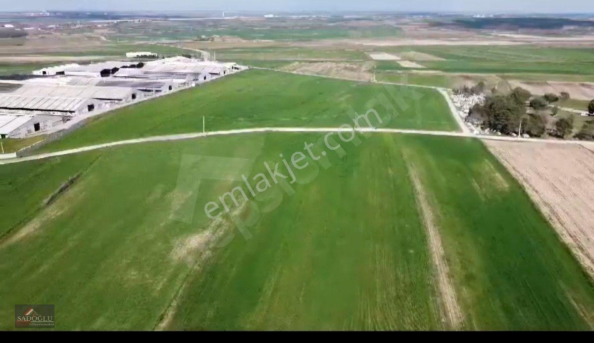 Ovacık Köy Meydanına Yakın 1.886 M2 Satılık — fotoğraf 18