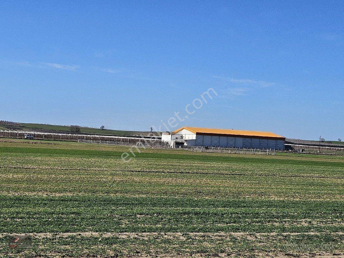 Ovacık Köy Meydanına Yakın 1.886 M2 Satılık — fotoğraf 19