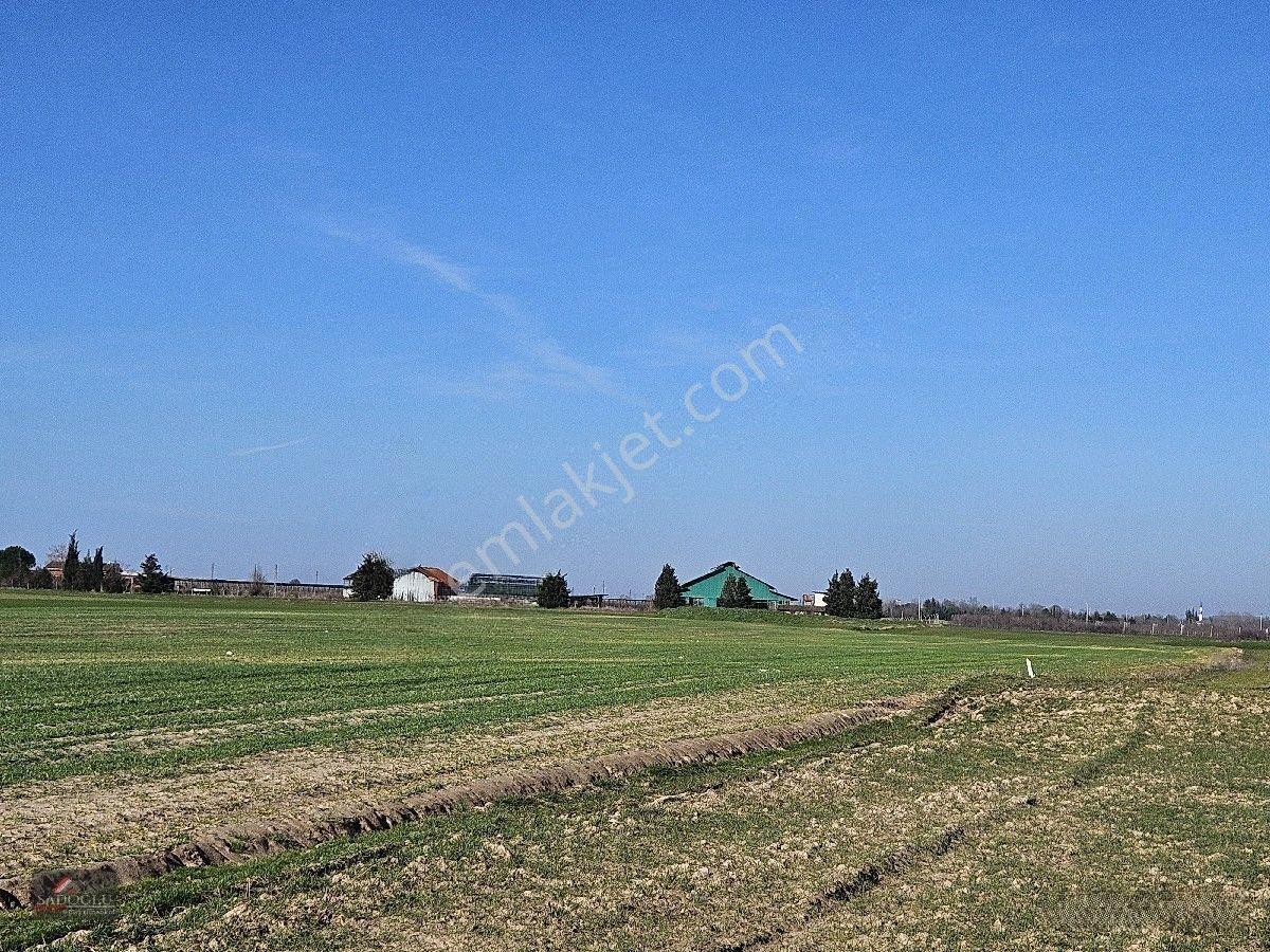 Ovacık Köy Meydanına Yakın 1.886 M2 Satılık — fotoğraf 20