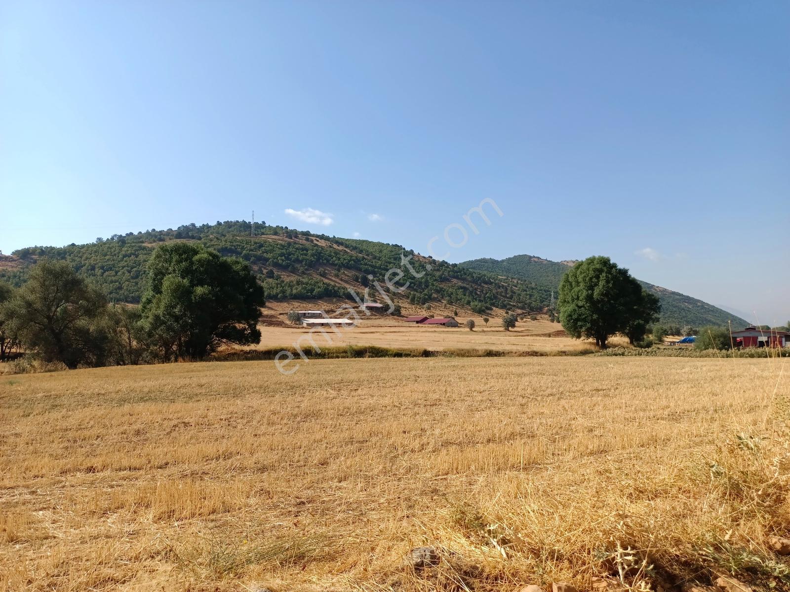 Yeni Rotadan Göksun Kanlıkavak'ta 7114 M2 Satılık Kurulu Çiftlik