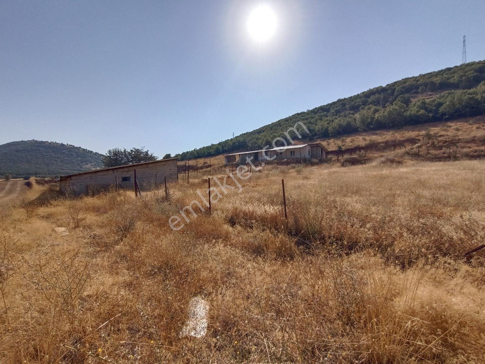 Yeni Rotadan Göksun Kanlıkavak'ta 7114 M2 Satılık Kurulu Çiftlik — fotoğraf 2