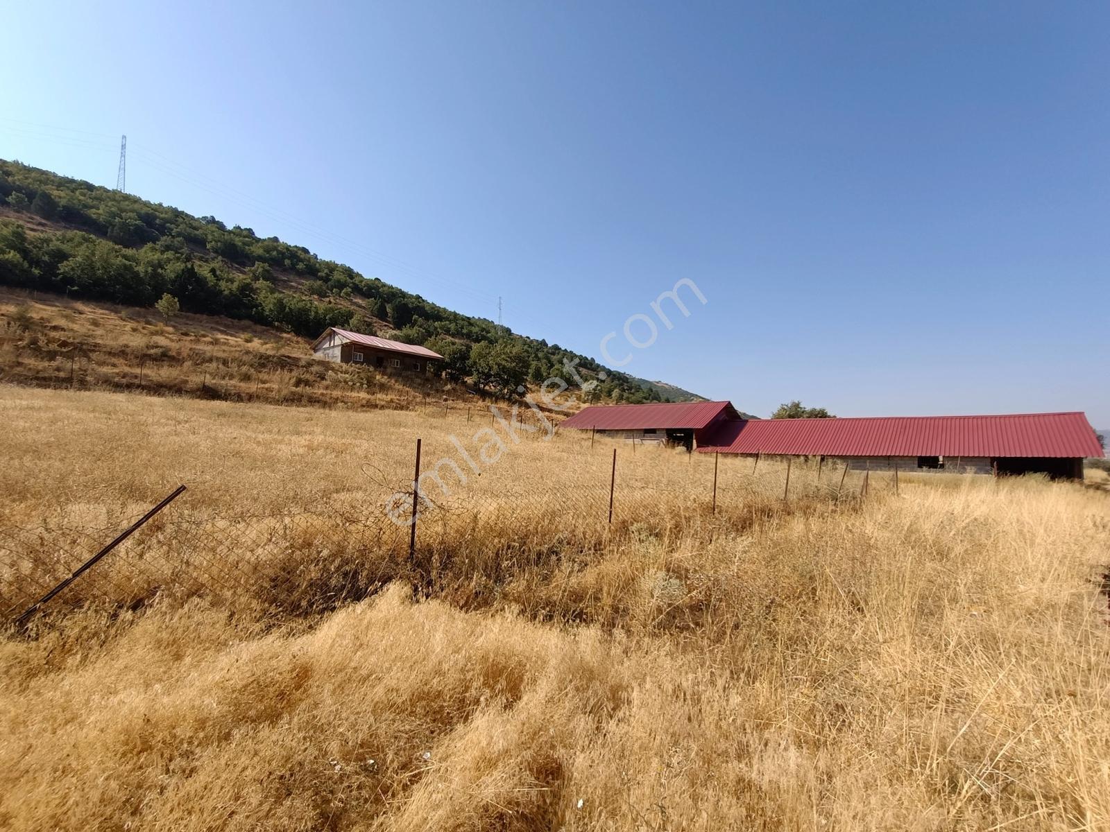 Yeni Rotadan Göksun Kanlıkavak'ta 7114 M2 Satılık Kurulu Çiftlik — fotoğraf 3