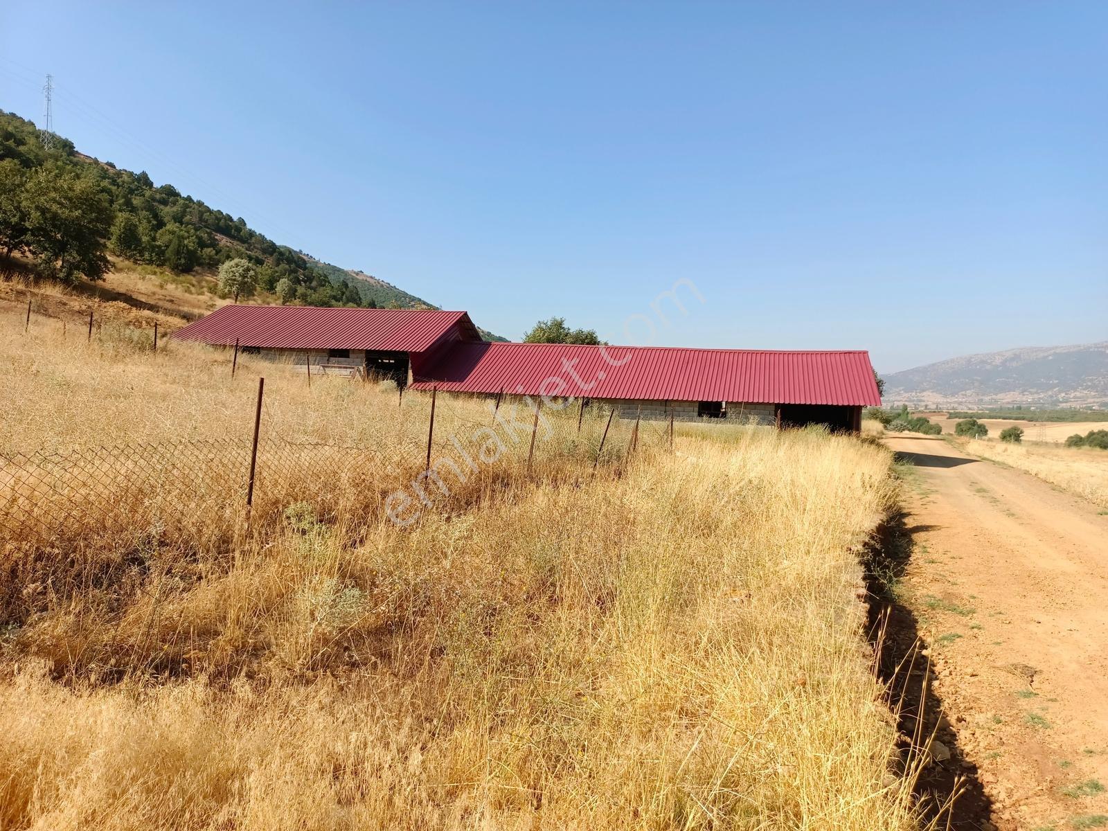 Yeni Rotadan Göksun Kanlıkavak'ta 7114 M2 Satılık Kurulu Çiftlik — fotoğraf 4