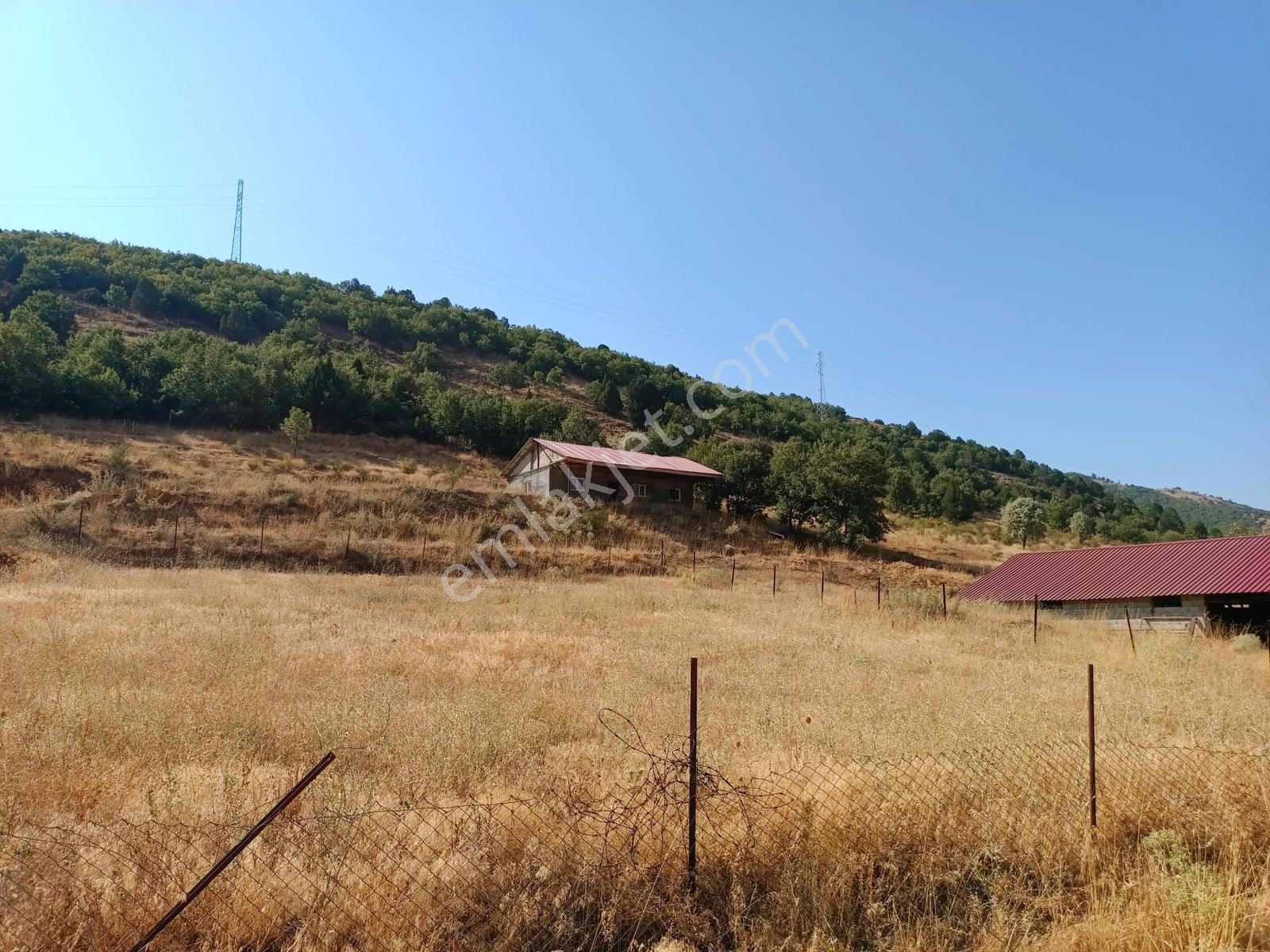Yeni Rotadan Göksun Kanlıkavak'ta 7114 M2 Satılık Kurulu Çiftlik — fotoğraf 5