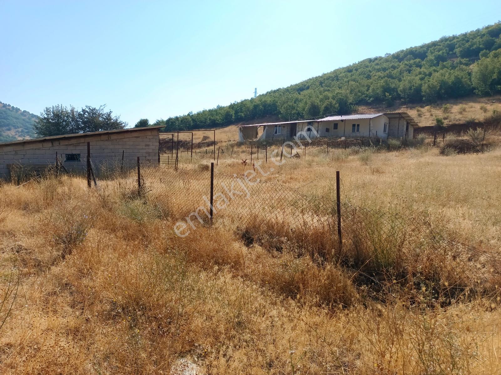Yeni Rotadan Göksun Kanlıkavak'ta 7114 M2 Satılık Kurulu Çiftlik — fotoğraf 6