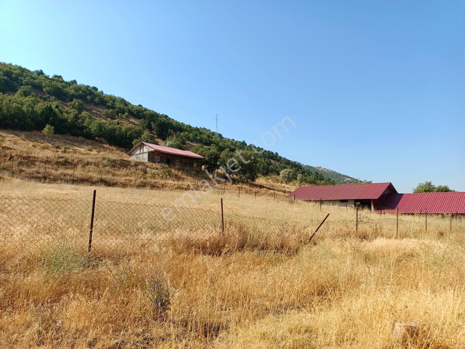 Yeni Rotadan Göksun Kanlıkavak'ta 7114 M2 Satılık Kurulu Çiftlik — fotoğraf 7