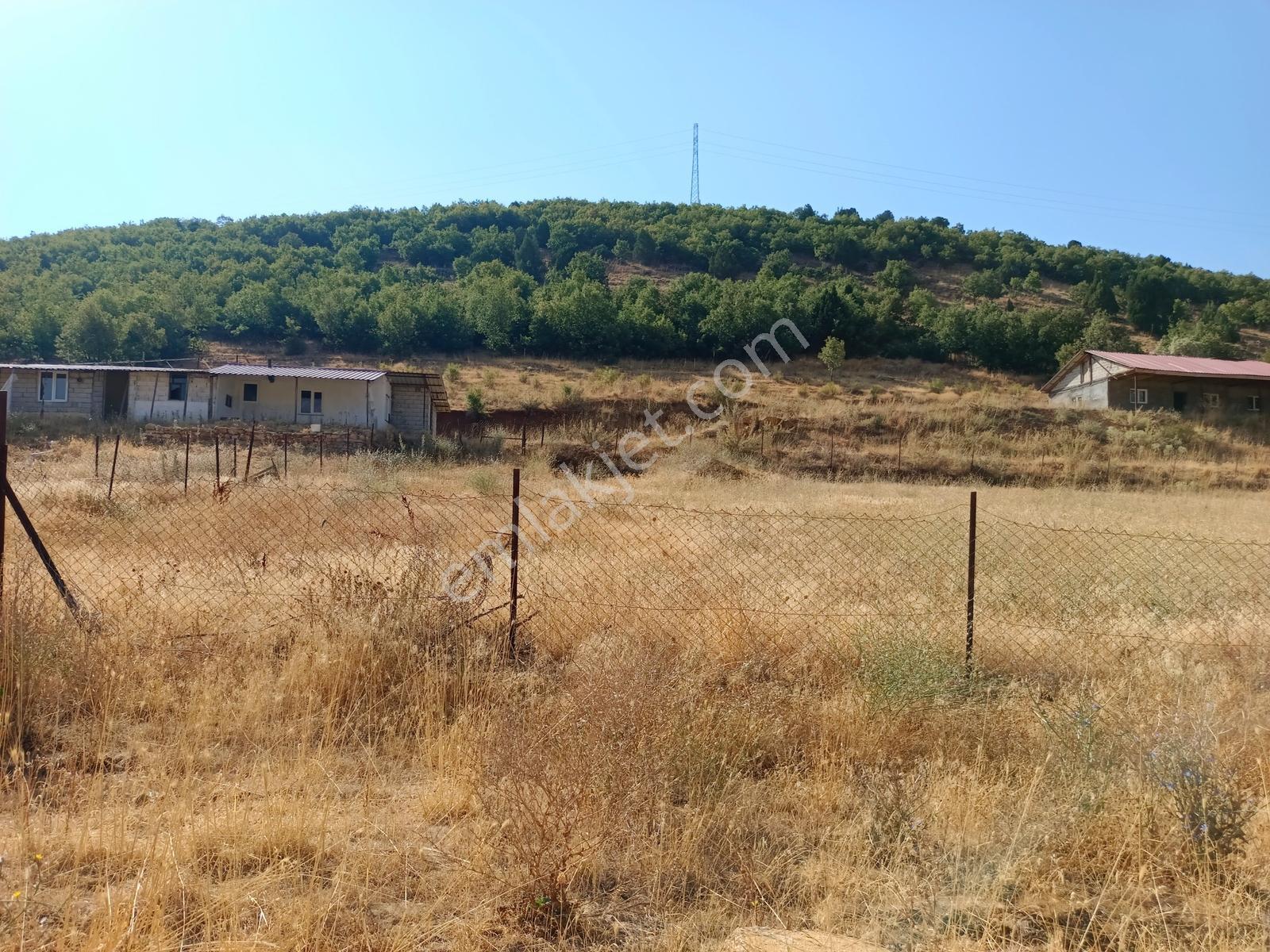 Yeni Rotadan Göksun Kanlıkavak'ta 7114 M2 Satılık Kurulu Çiftlik — fotoğraf 8