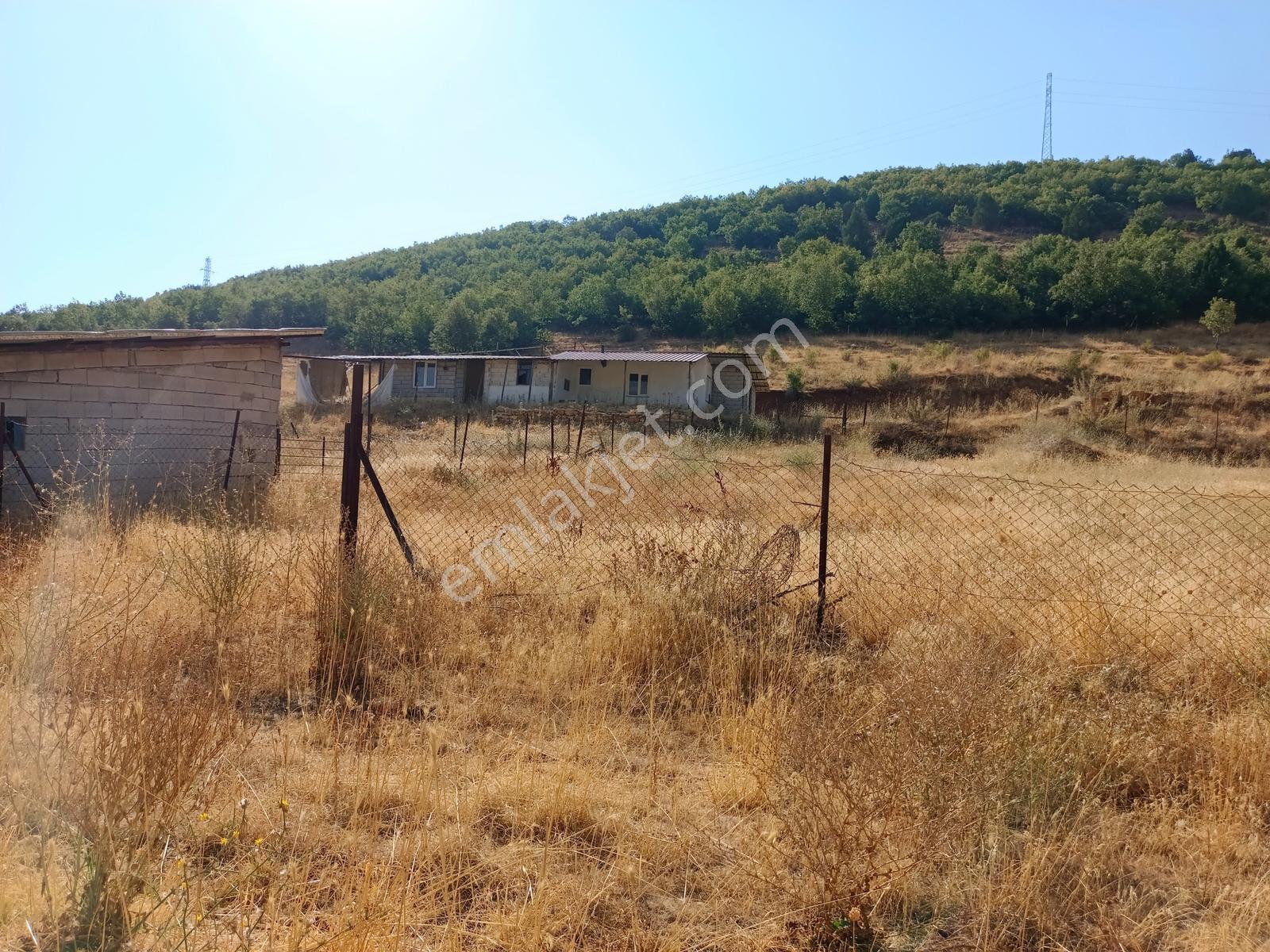Yeni Rotadan Göksun Kanlıkavak'ta 7114 M2 Satılık Kurulu Çiftlik — fotoğraf 9