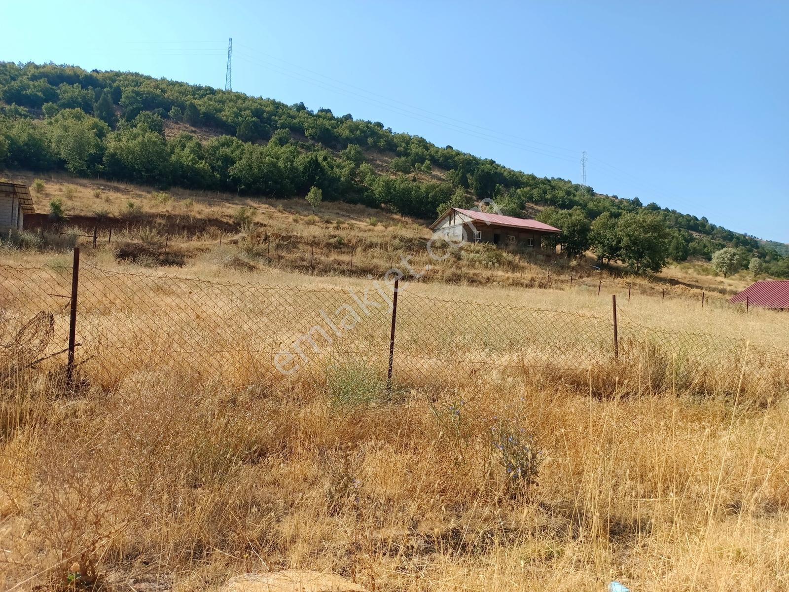 Yeni Rotadan Göksun Kanlıkavak'ta 7114 M2 Satılık Kurulu Çiftlik — fotoğraf 10