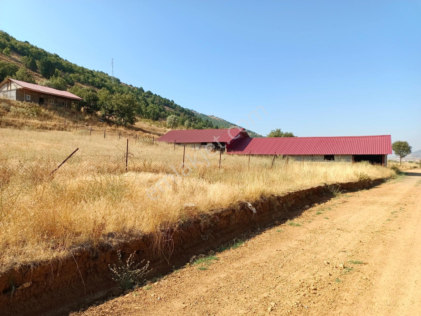 Yeni Rotadan Göksun Kanlıkavak'ta 7114 M2 Satılık Kurulu Çiftlik — fotoğraf 11