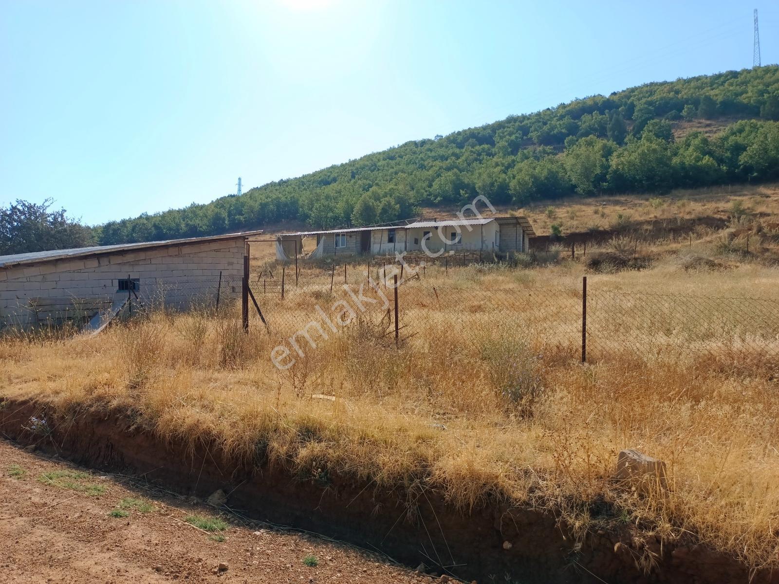 Yeni Rotadan Göksun Kanlıkavak'ta 7114 M2 Satılık Kurulu Çiftlik — fotoğraf 12