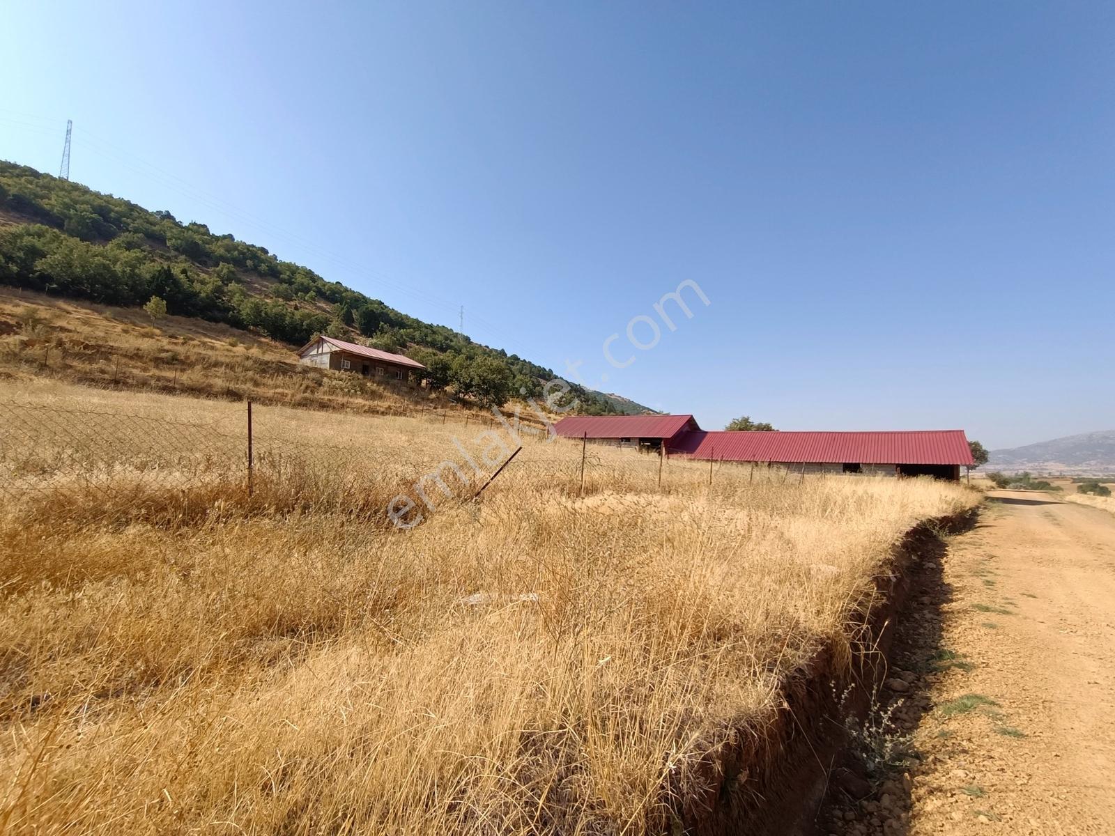 Yeni Rotadan Göksun Kanlıkavak'ta 7114 M2 Satılık Kurulu Çiftlik — fotoğraf 13