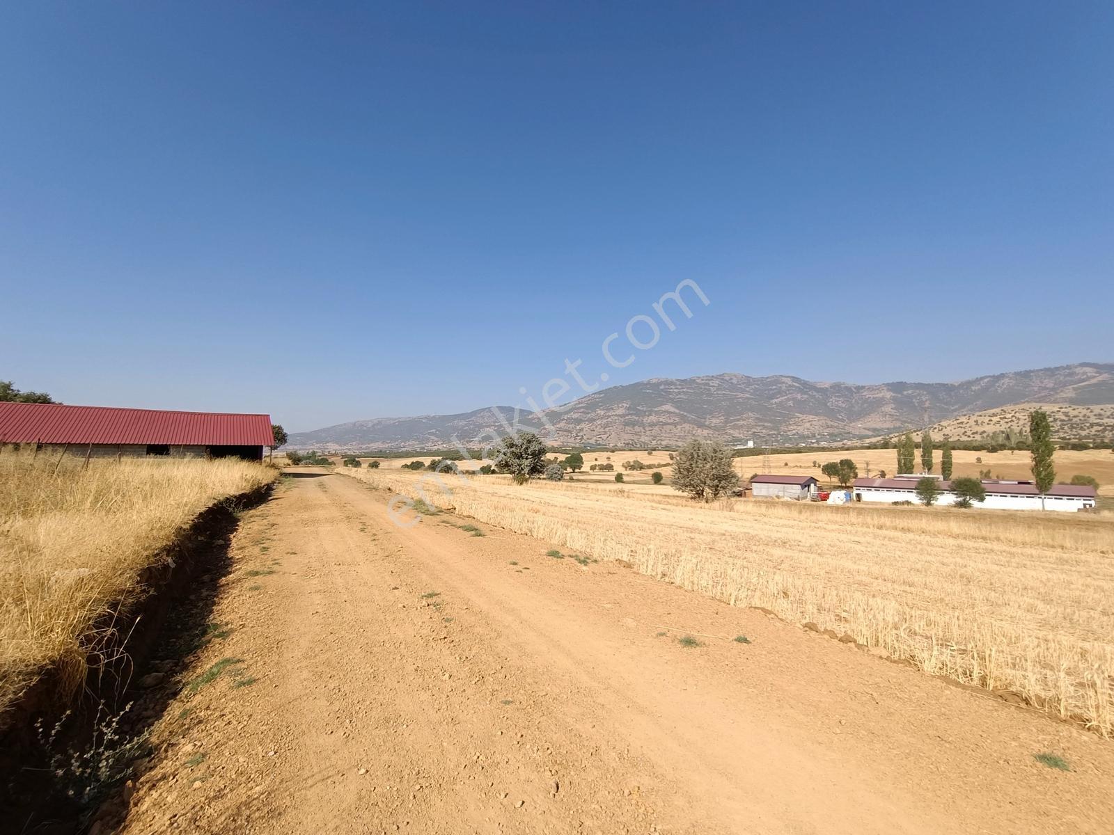 Yeni Rotadan Göksun Kanlıkavak'ta 7114 M2 Satılık Kurulu Çiftlik — fotoğraf 14