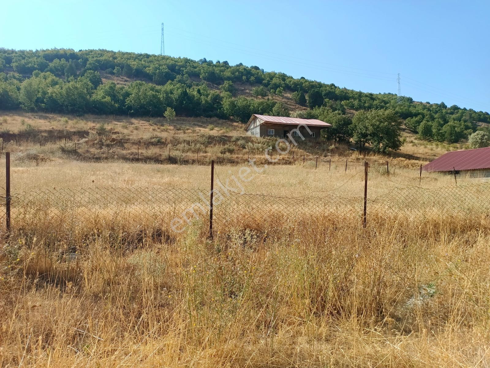 Yeni Rotadan Göksun Kanlıkavak'ta 7114 M2 Satılık Kurulu Çiftlik — fotoğraf 15